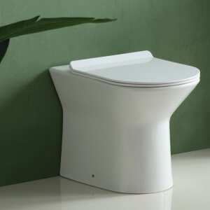 Ferrara Rimless Back to Wall D Shape Toilet Pan and Seat