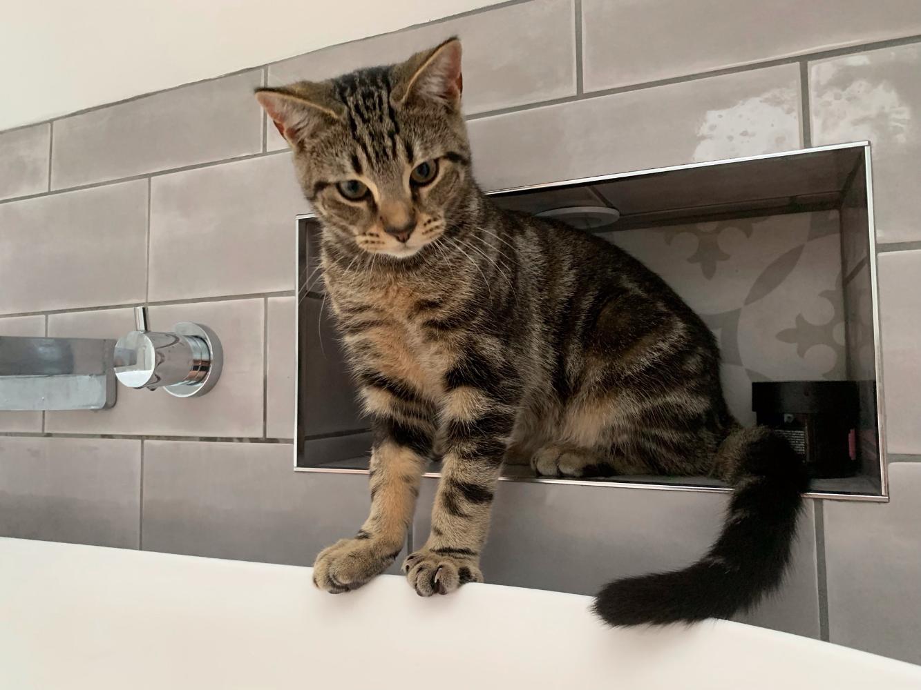 Img 28771 1 | Total Bathrooms, Bath