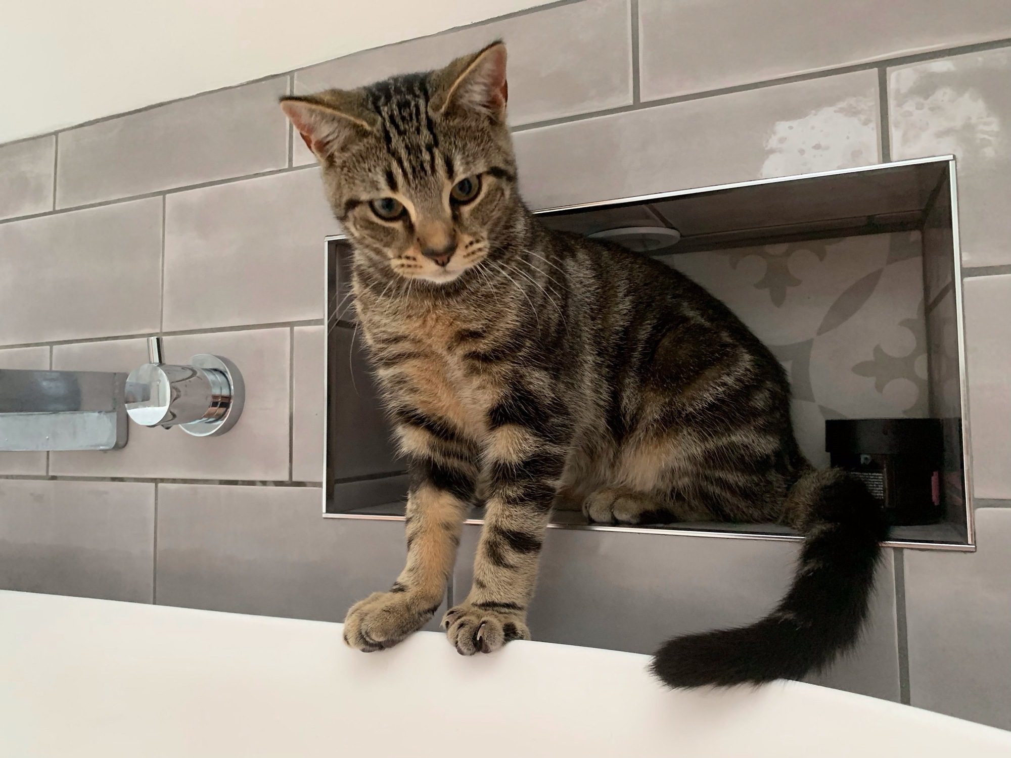 Img 28771 | Total Bathrooms, Bath