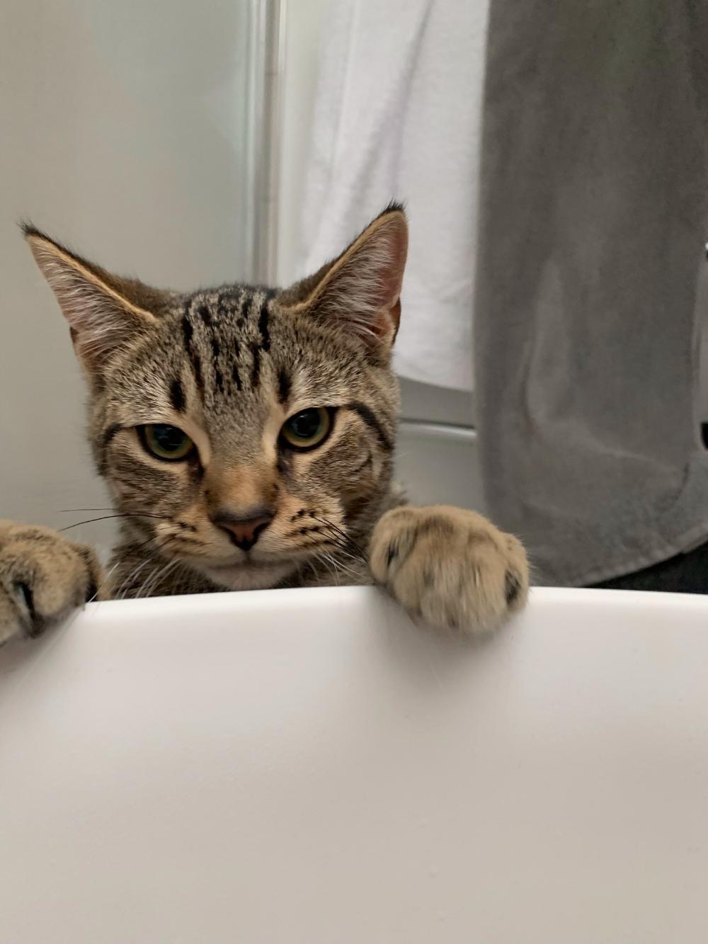 Img 28821 1 | Total Bathrooms, Bath